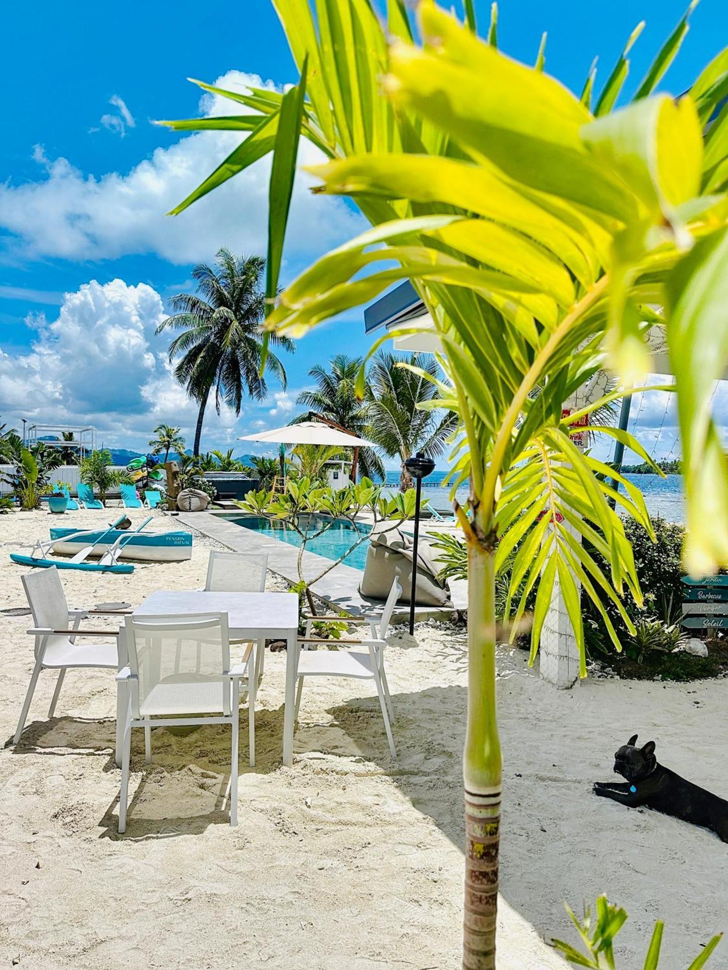 Pension Irivai, Appartement Uo Uo 3 Chambres Vue Mer Uturoa Exterior foto